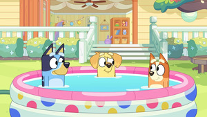 Vignette du programme télé Bluey Minisodes (La piscine) S1 (n°14)