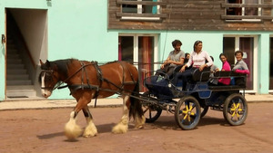 Vignette du programme télé Au galop ! S6 (n°42)