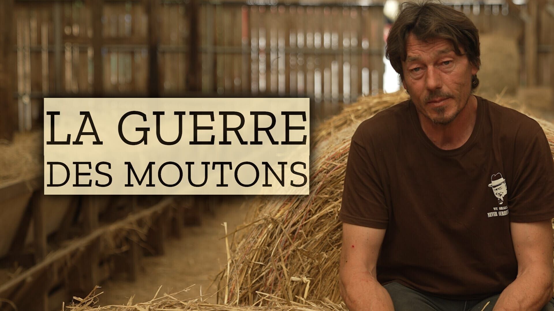 Vignette du programme télé La guerre des moutons