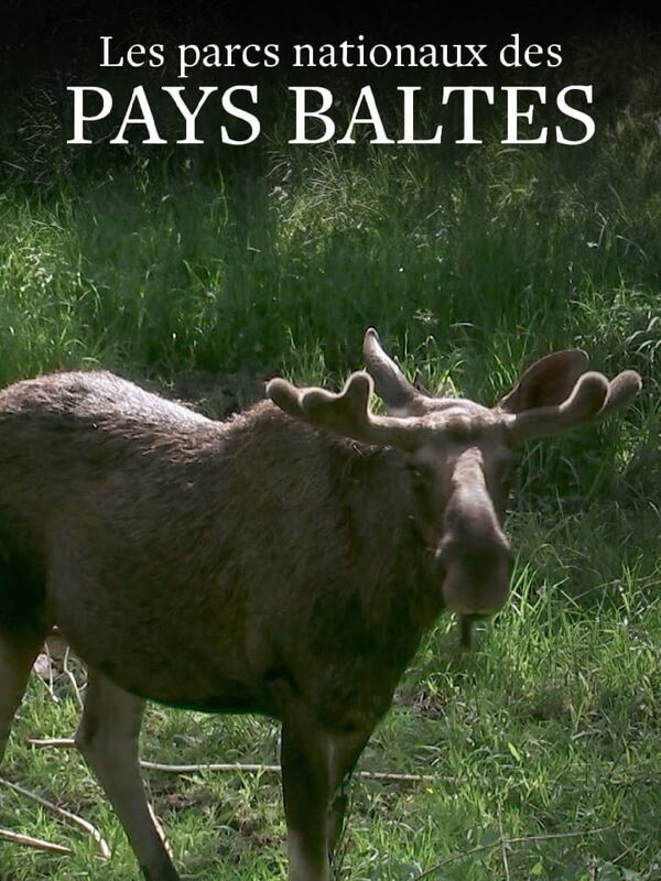 Vignette du programme télé Les parcs nationaux des pays baltes