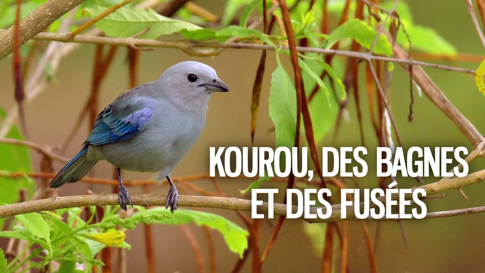 Vignette du programme télé Kourou, des bagnes et des fusées