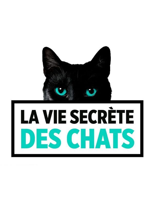 Vignette du programme télé La vie secrète des chats