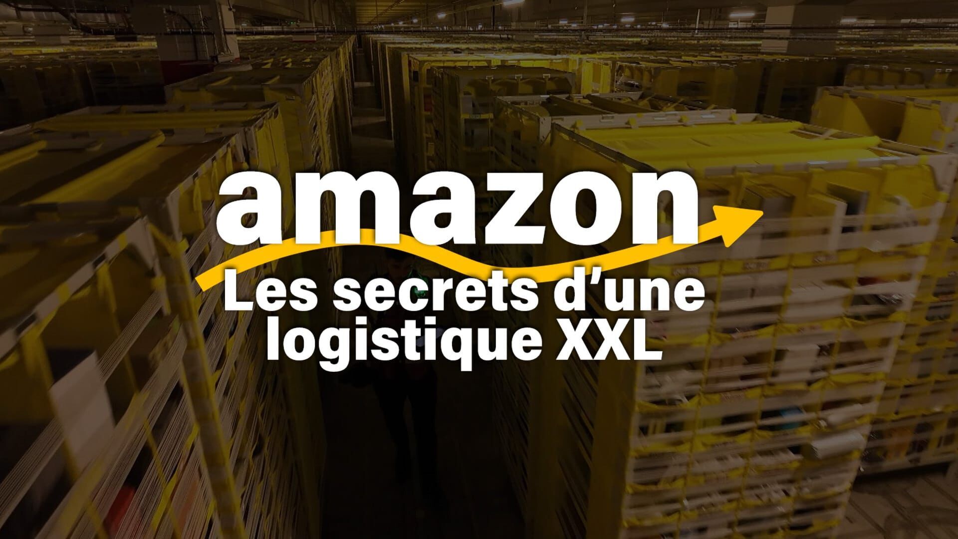 Vignette du programme télé Amazon, les secrets d'une logistique XXL