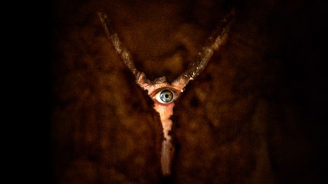 Vignette du programme télé Retour à Silent Hill