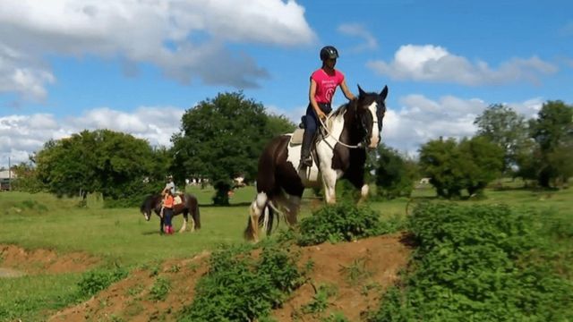 Vignette du programme télé Au galop ! - Saison 6