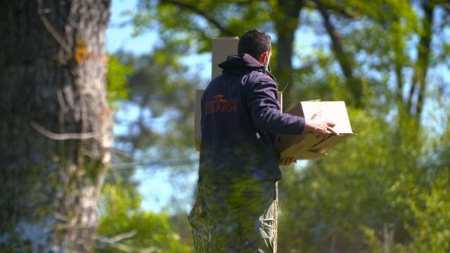 Vignette du programme télé Une saison au zoo - Saison 13