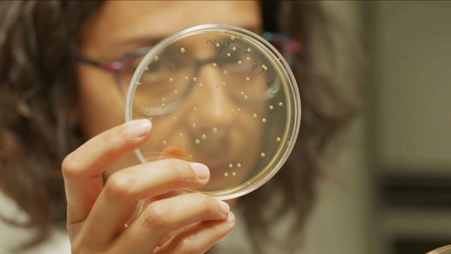 Vignette du programme télé Ces microbes qui vous veulent du bien