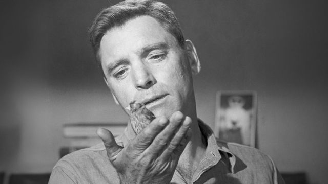 Vignette du programme télé Le prisonnier d'Alcatraz