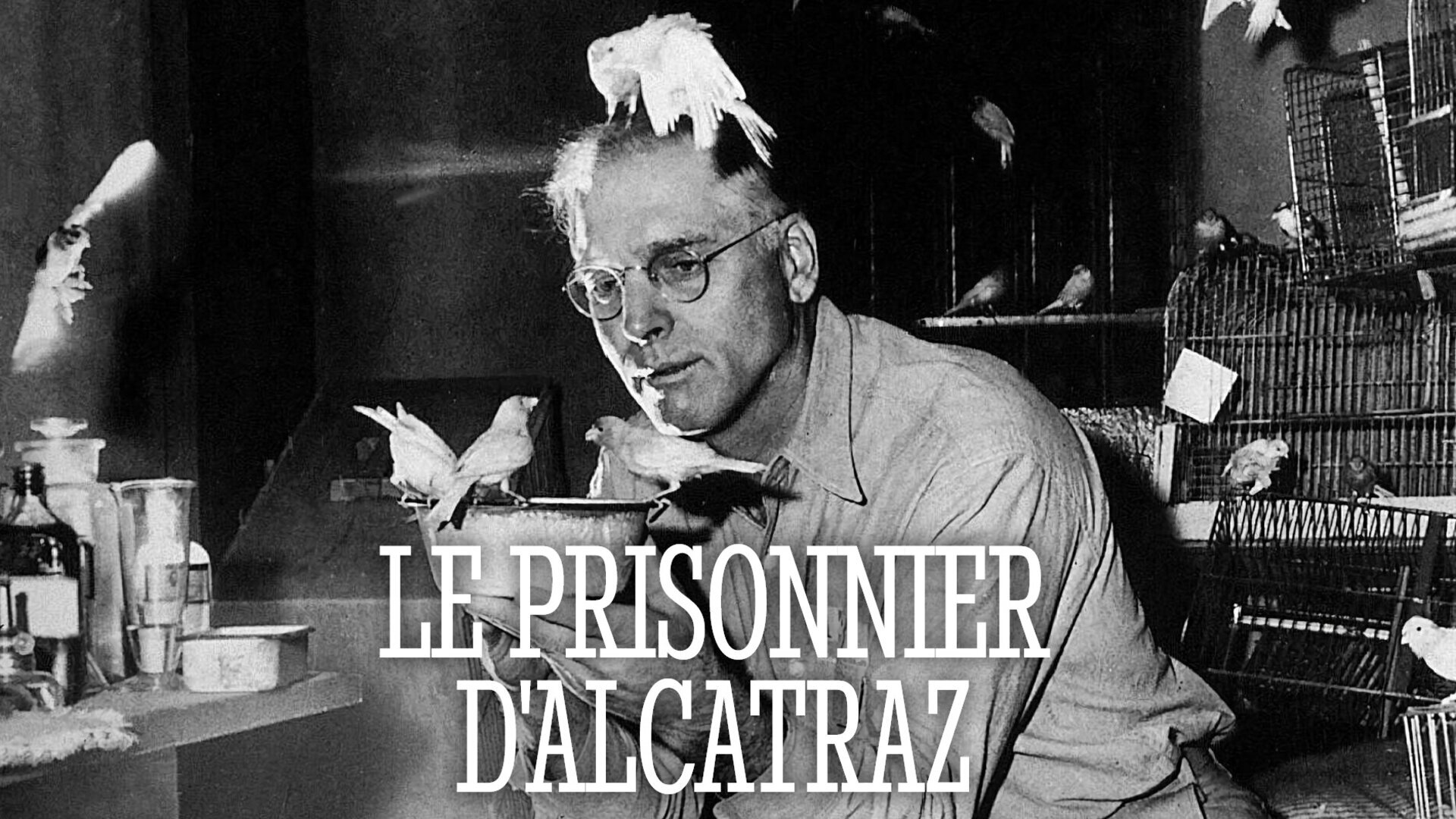 Vignette du programme télé Le prisonnier d'Alcatraz