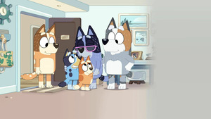 Vignette du programme télé Bluey Minisodes (A la recherche de Bingo) S1 (n°18)