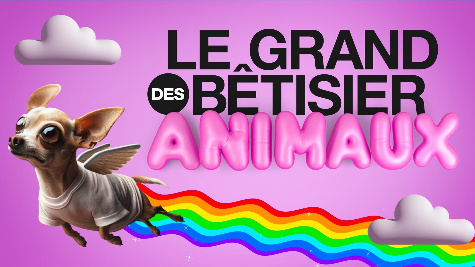 Vignette du programme télé Le grand bêtisier des animaux