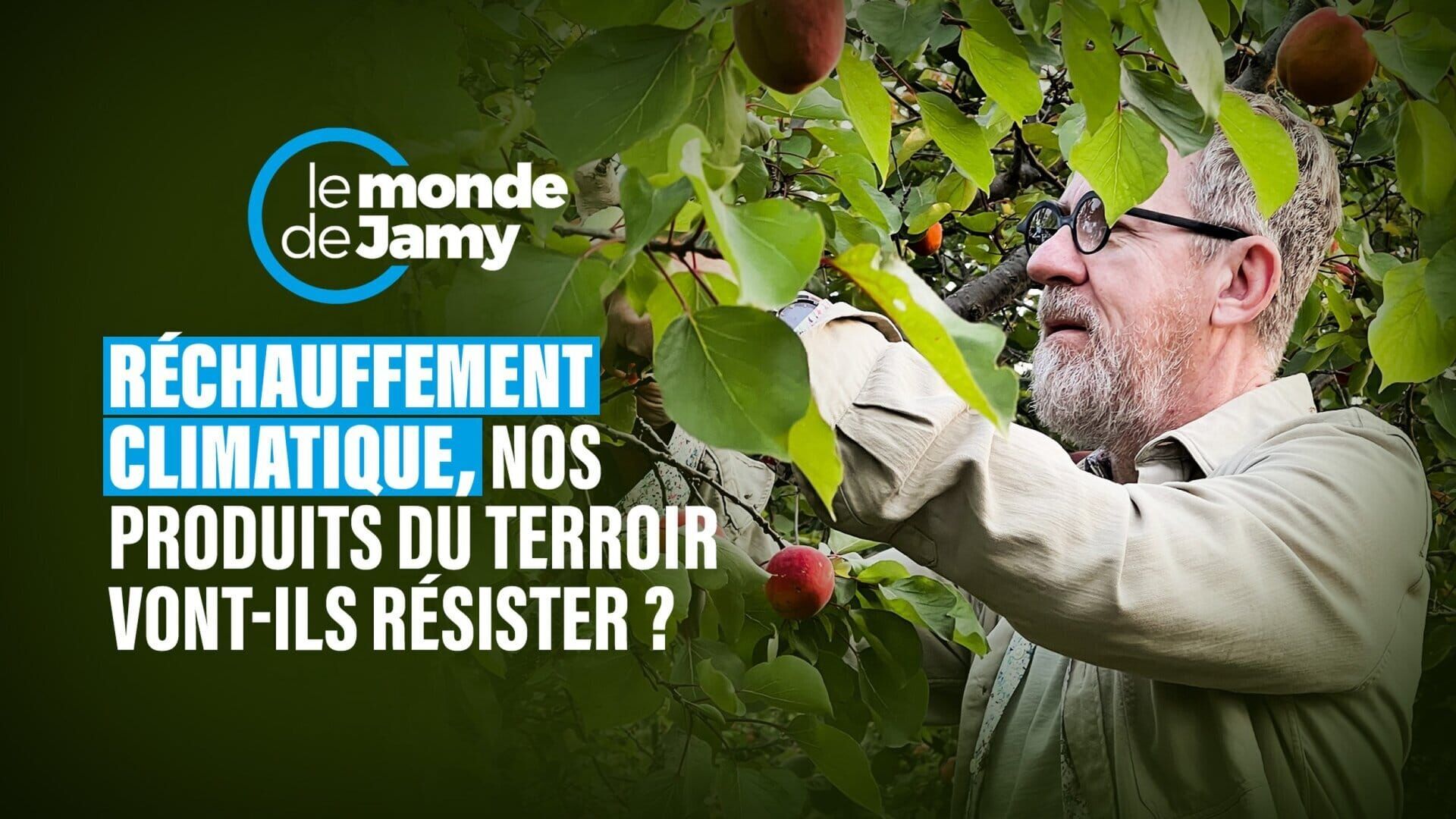 Vignette du programme télé Le monde de Jamy