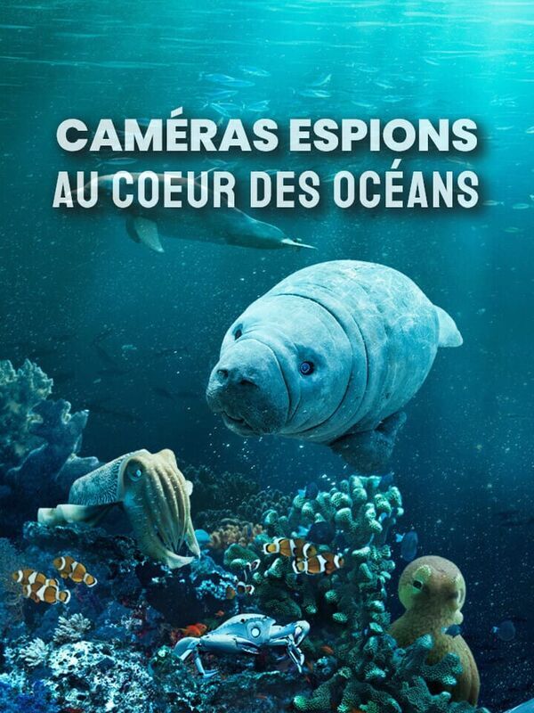 Vignette du programme télé Caméras espions au coeur des océans