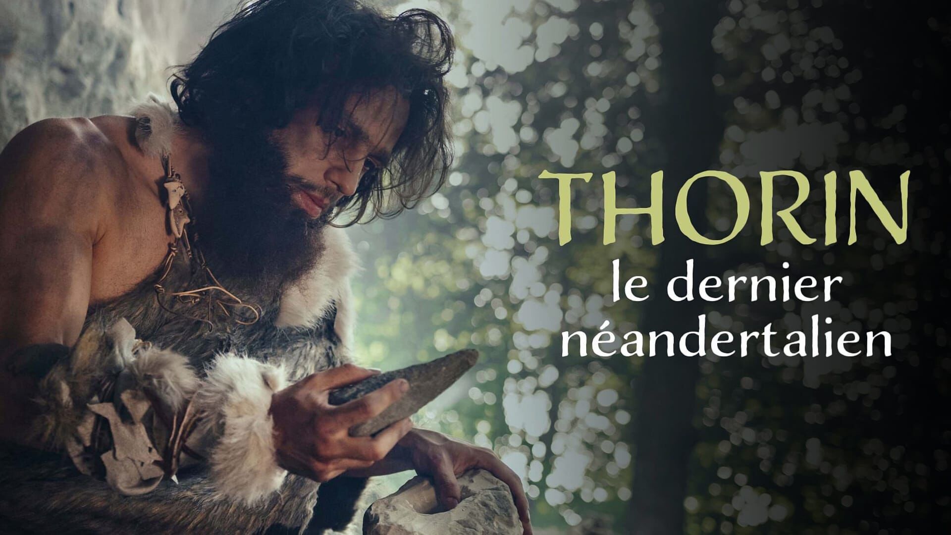 Vignette du programme télé Thorin, le dernier Néandertalien