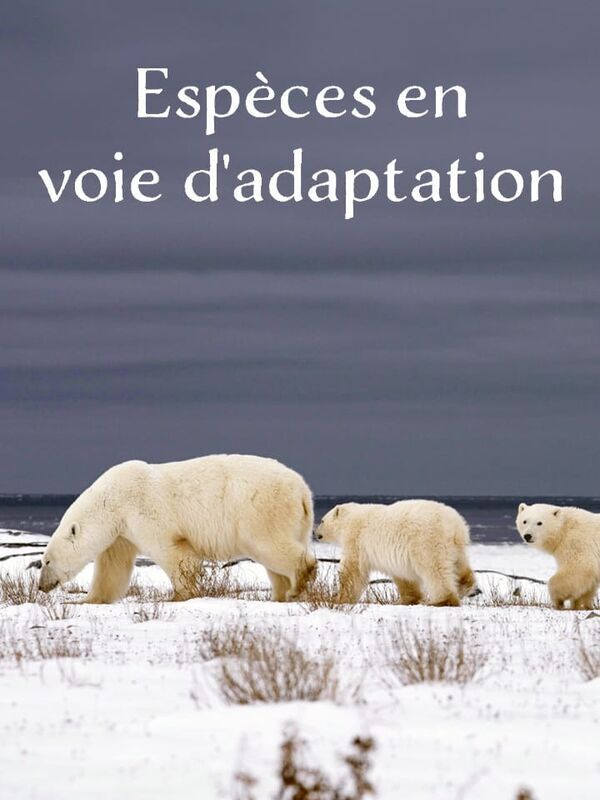 Vignette du programme télé Espèces en voie d'adaptation
