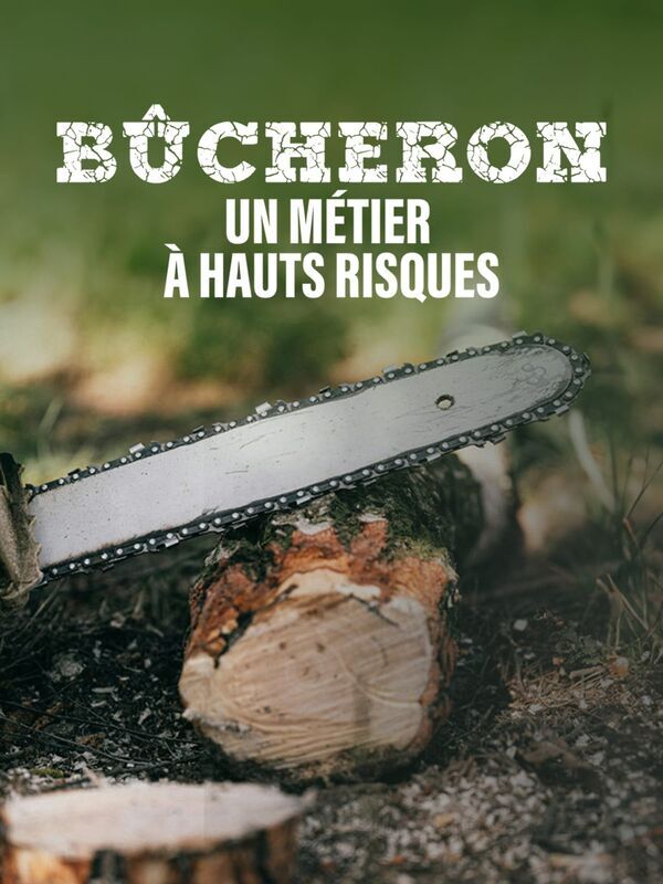 Vignette du programme télé Bûcheron : un métier à hauts risques