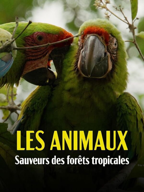 Vignette du programme télé Les animaux, sauveurs des forêts tropicales