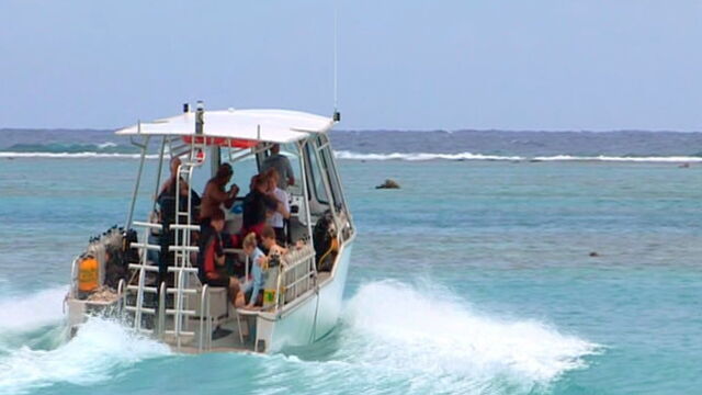 Vignette du programme télé Moorea : l'île aux requins citron