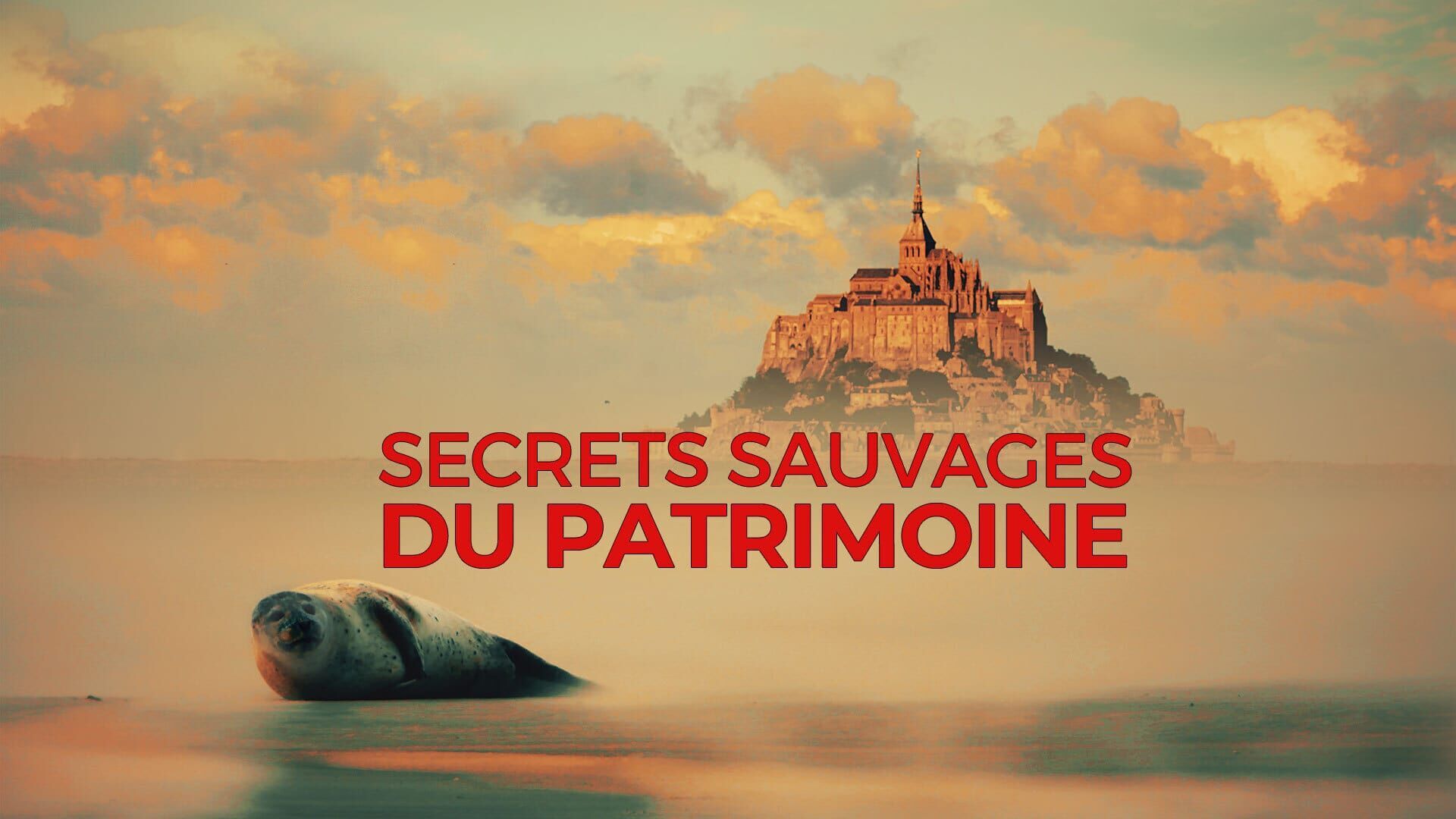 Vignette du programme télé Secrets sauvages du patrimoine