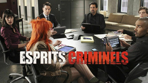 Vignette du programme télé Esprits criminels (Sous la surface) S6 (23/24)