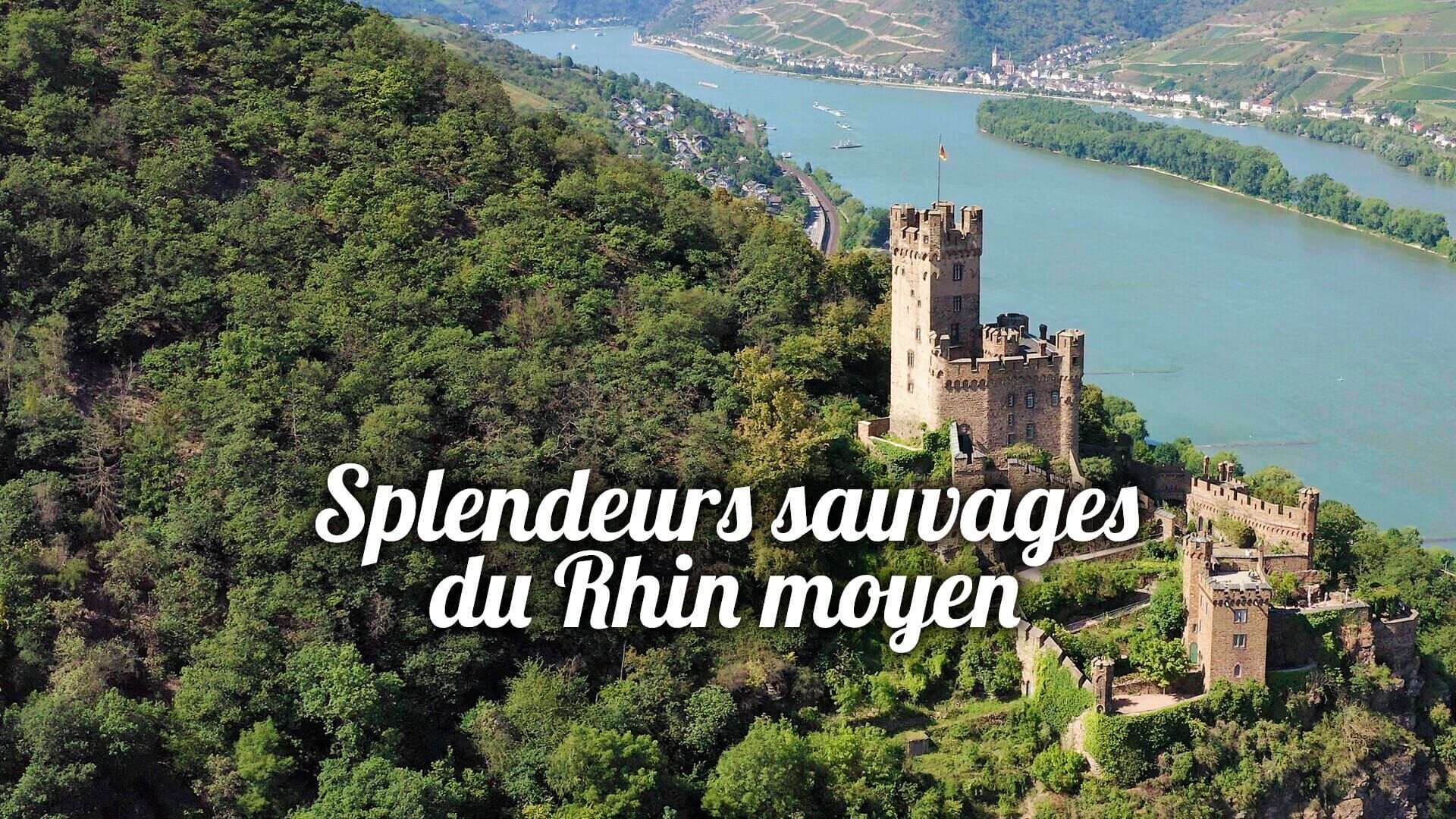 Vignette du programme télé Splendeurs sauvages du Rhin moyen