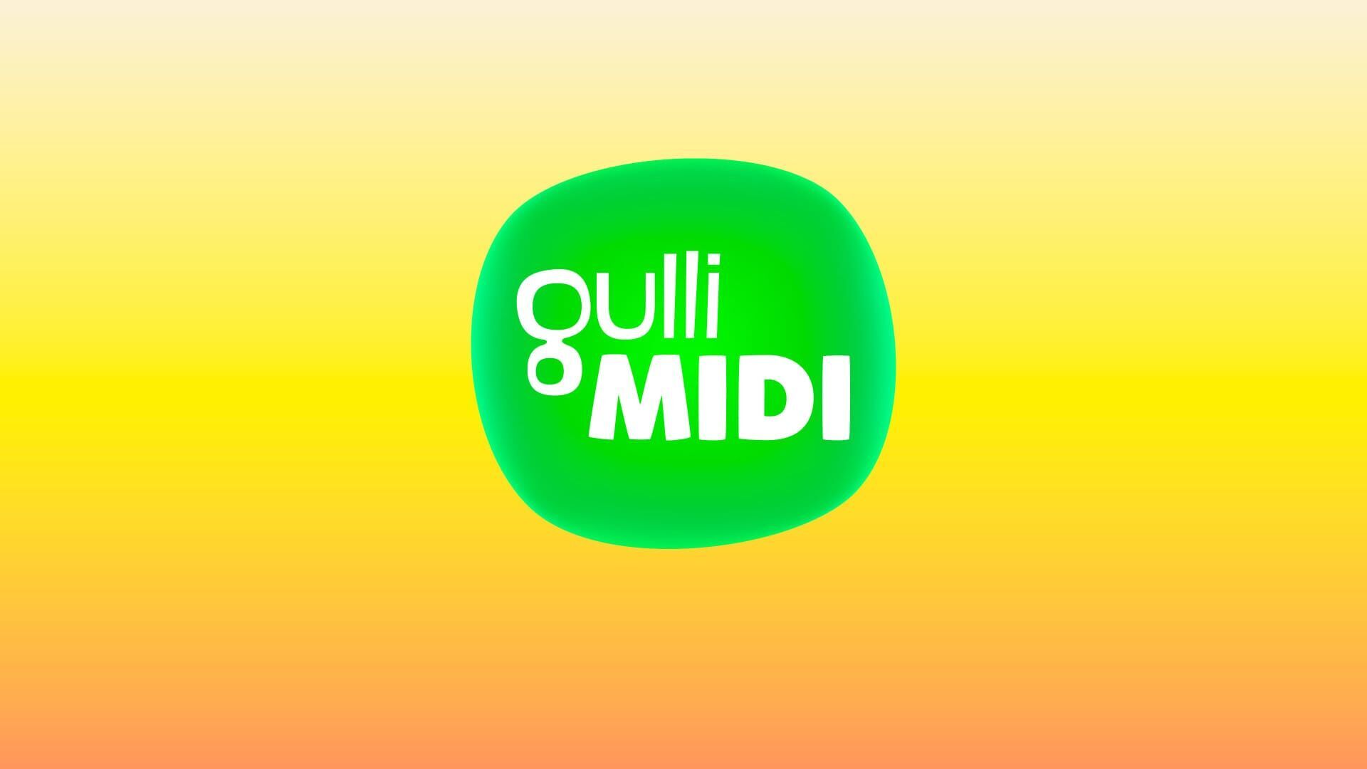 Vignette du programme télé Gulli Midi