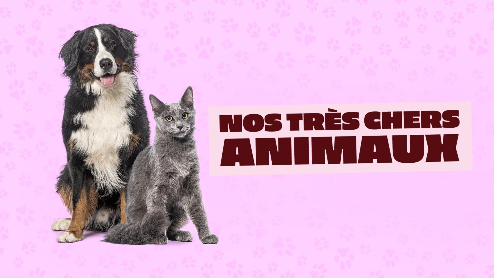 Vignette du programme télé Nos très chers animaux