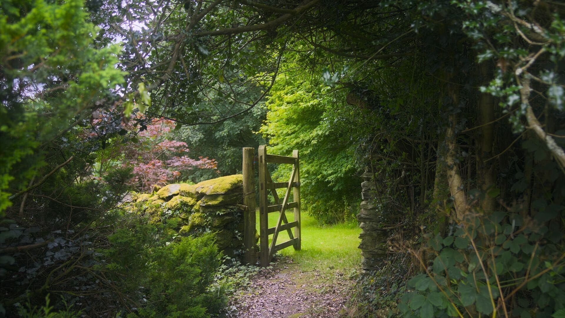 Vignette du programme télé La vie secrète des jardins britanniques