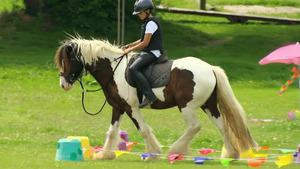 Vignette du programme télé Au galop ! S6 (n°45)