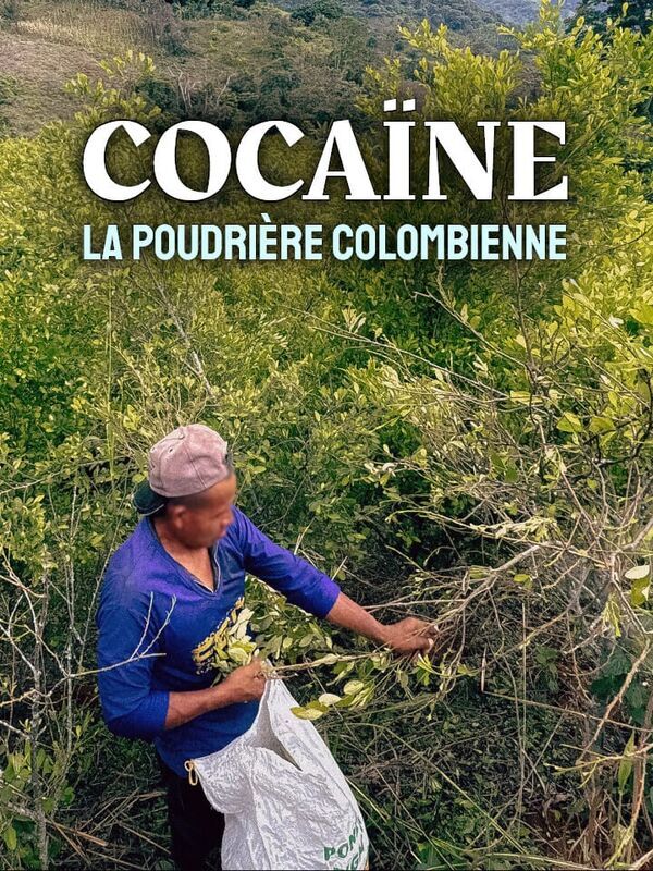 Vignette du programme télé Cocaïne : la poudrière colombienne