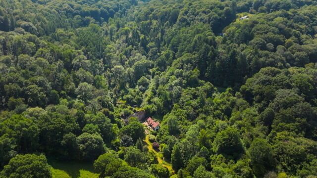 Vignette du programme télé La vie secrète des jardins britanniques