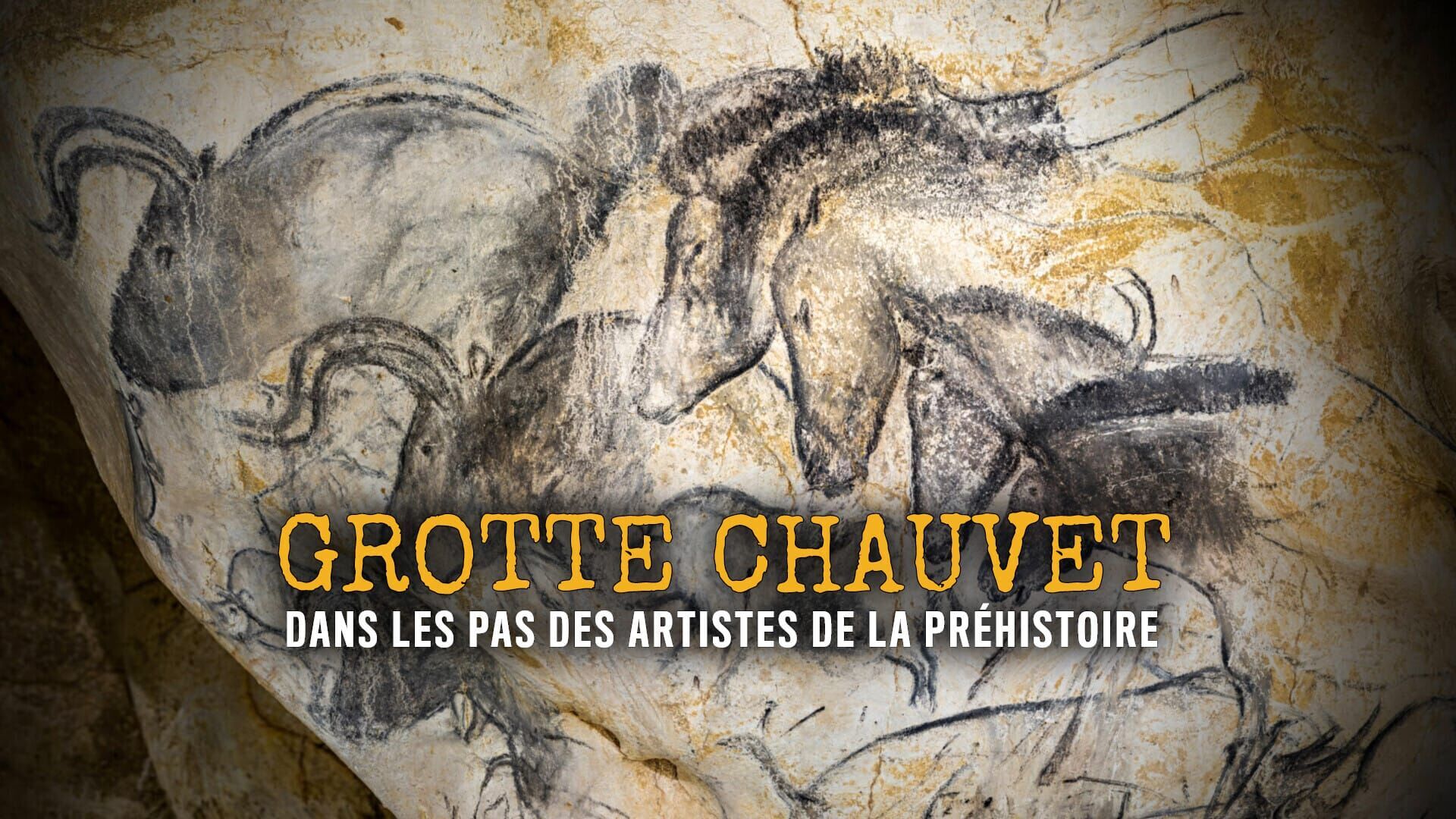 Vignette du programme télé Grotte Chauvet : Dans les pas des artistes de la Préhistoire
