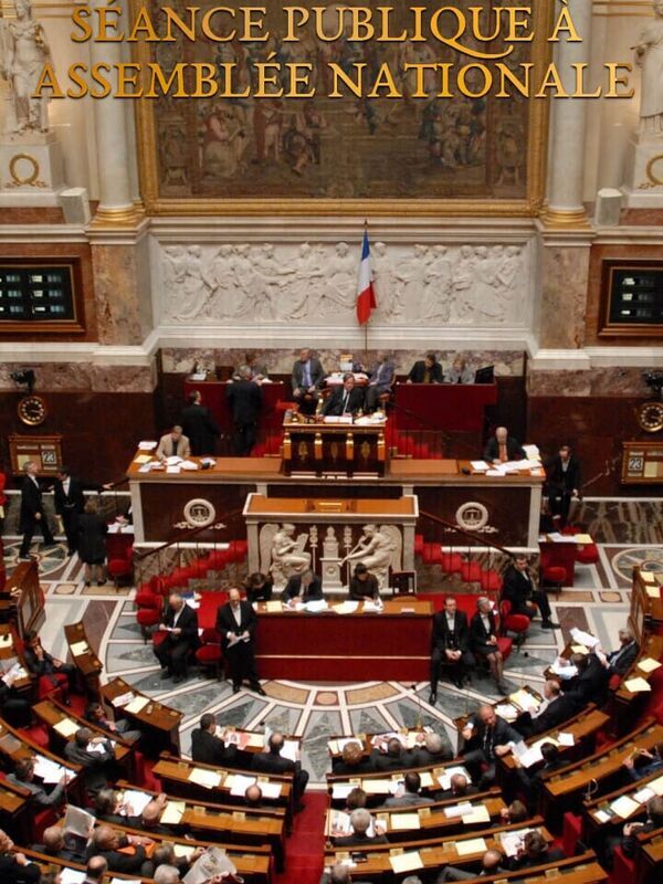 Vignette du programme télé Séance publique à l'Assemblée nationale