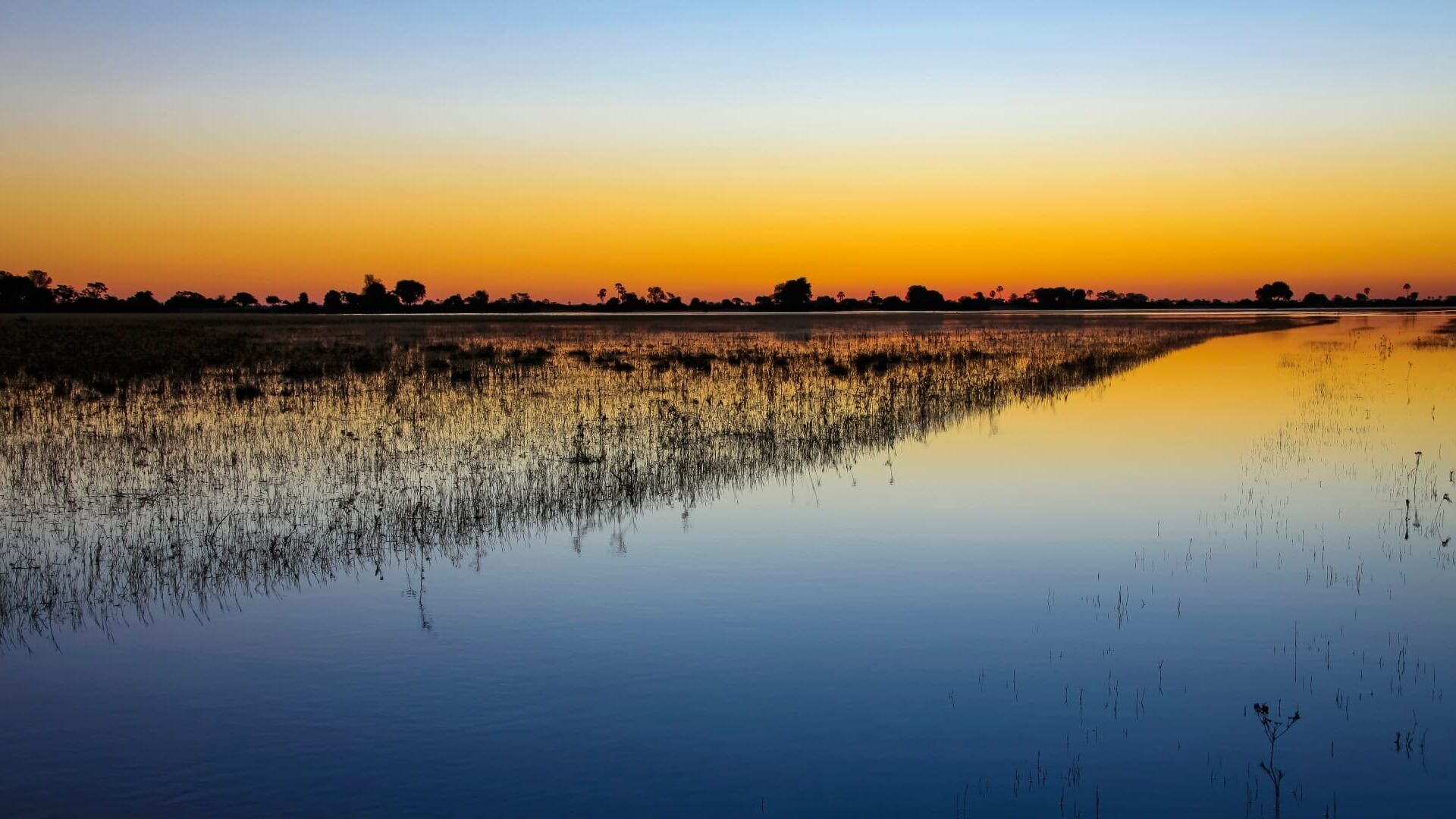 Vignette du programme télé Les miracles du delta de l'Okavango