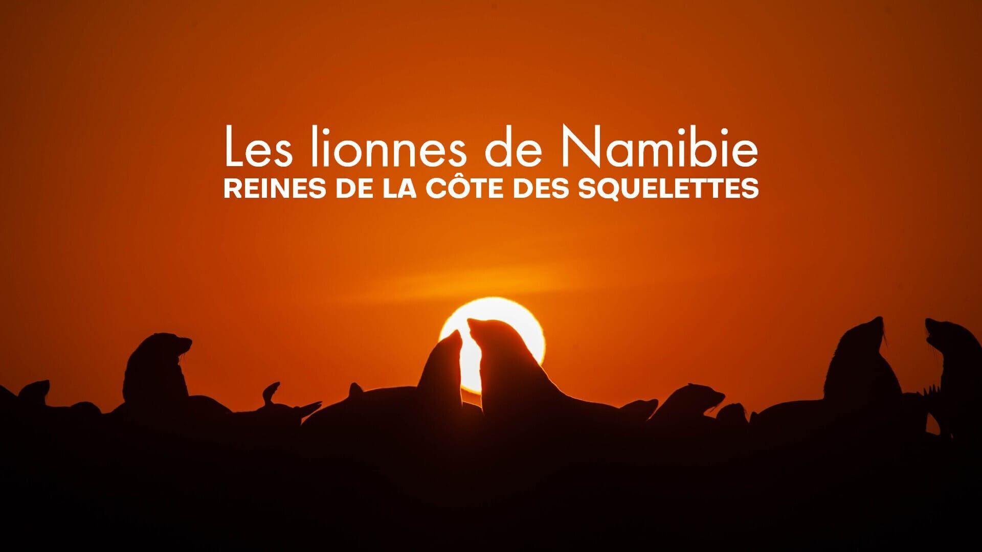Vignette du programme télé Les lionnes de Namibie : Reines de la côte des Squelettes