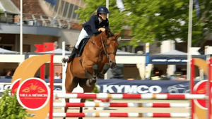 Vignette du programme télé Au galop ! S6 (n°48)