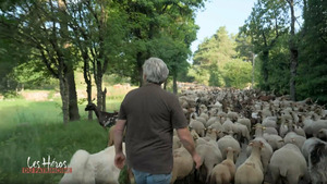 Vignette du programme télé Les héros du patrimoine (Transhumance : ils réinventent la tradition) (n°18)