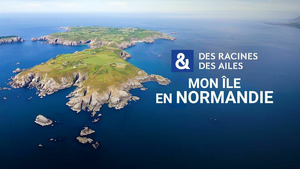 Vignette du programme télé Des racines et des ailes