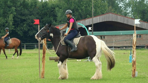 Vignette du programme télé Au galop ! S6 (n°47)