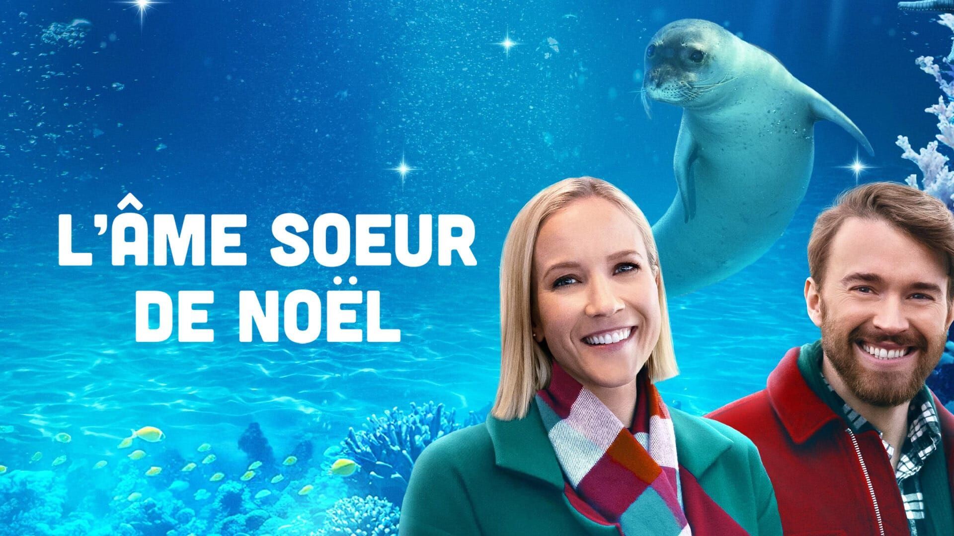 Vignette du programme télé L'âme soeur de Noël