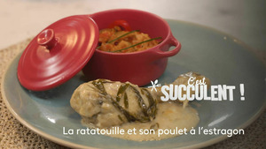 Vignette du programme télé C'est succulent !