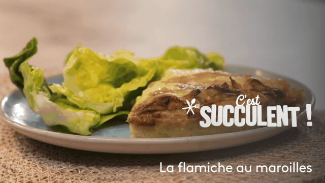 Vignette du programme télé C'est succulent !