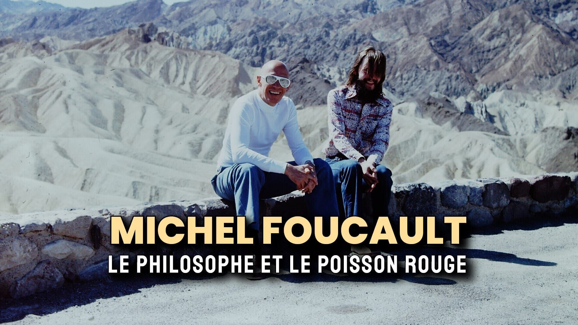 Vignette du programme télé Michel Foucault, le philosophe et le poisson rouge