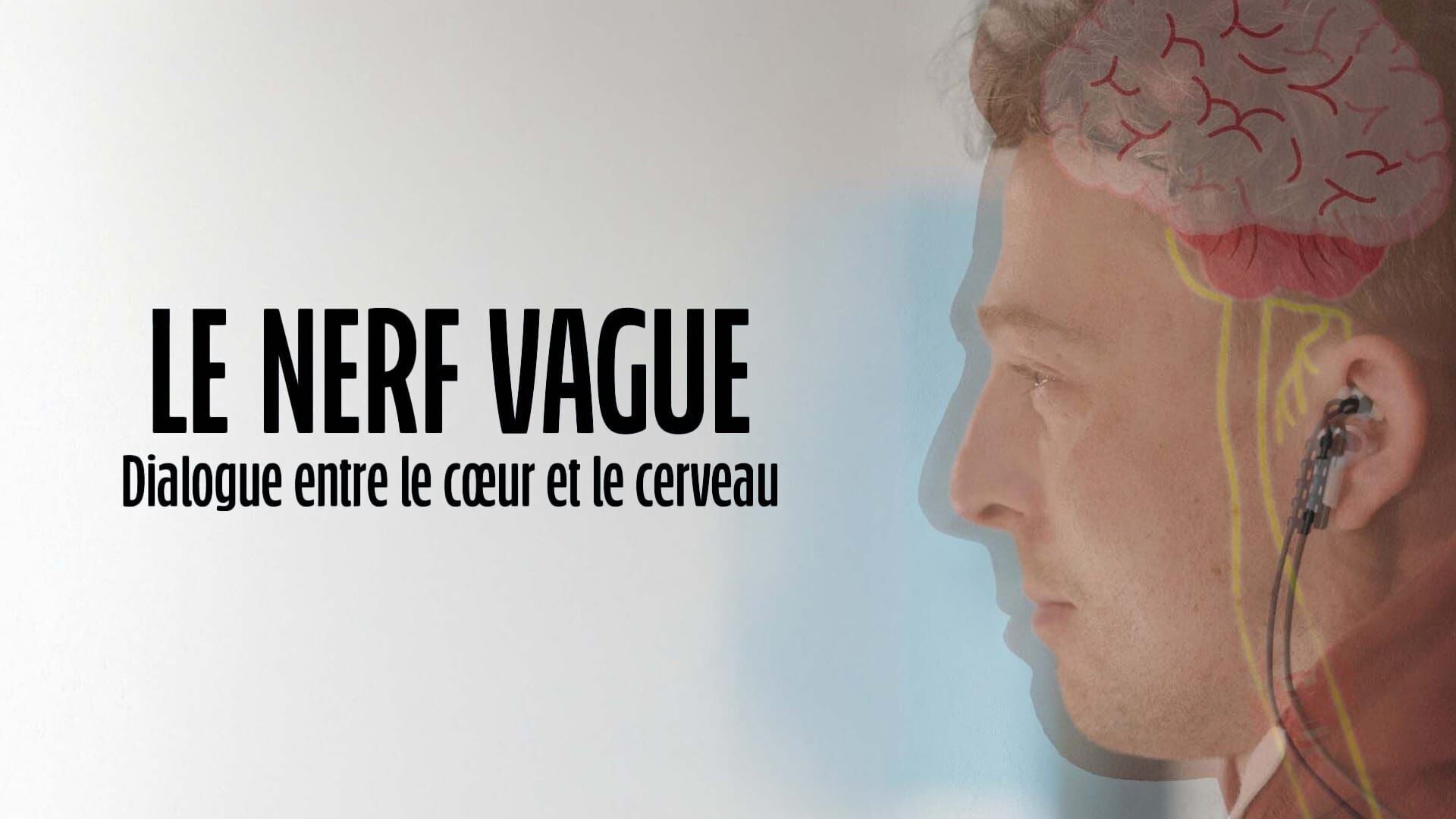 Vignette du programme télé Le nerf vague : dialogue entre le coeur et le cerveau