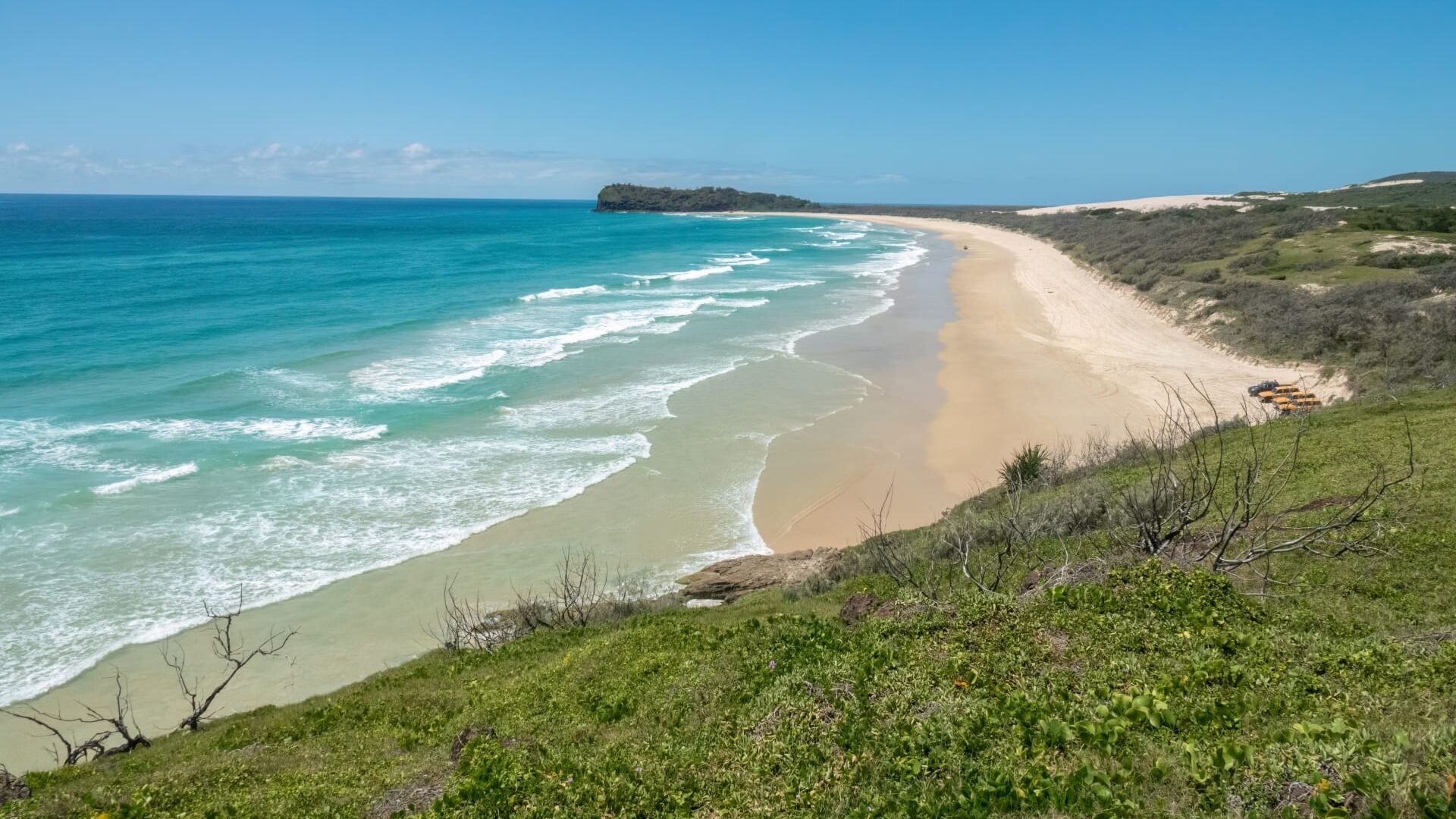 Vignette du programme télé K'gari, l'île de sable