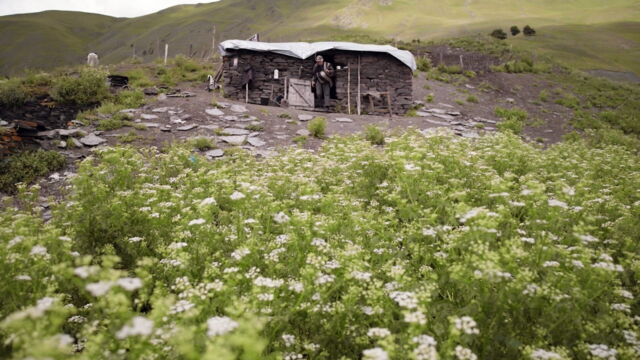 Vignette du programme télé Le vieux médecin et son cheval : Géorgie, au-delà des nuages
