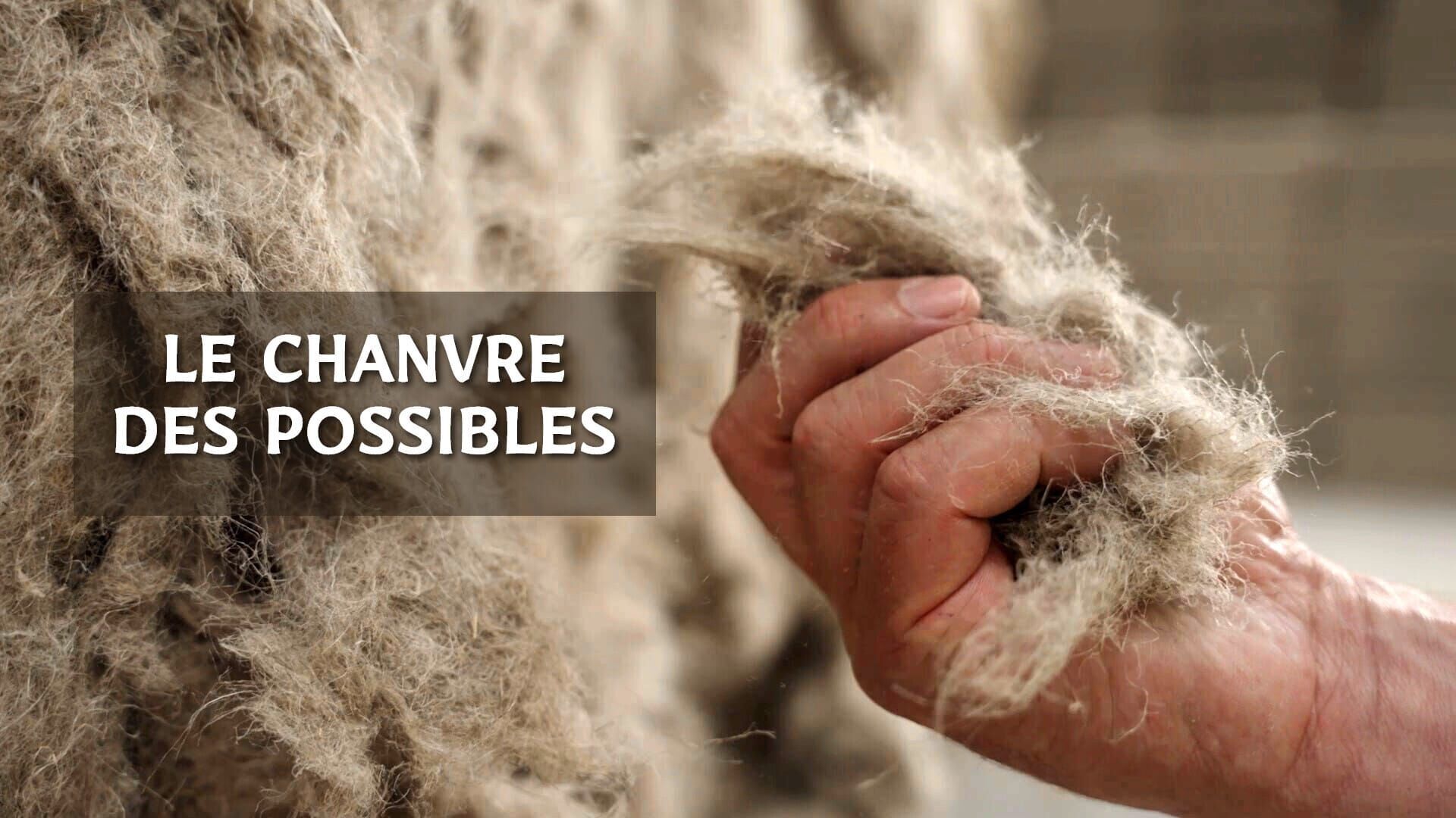 Vignette du programme télé Le chanvre des possibles