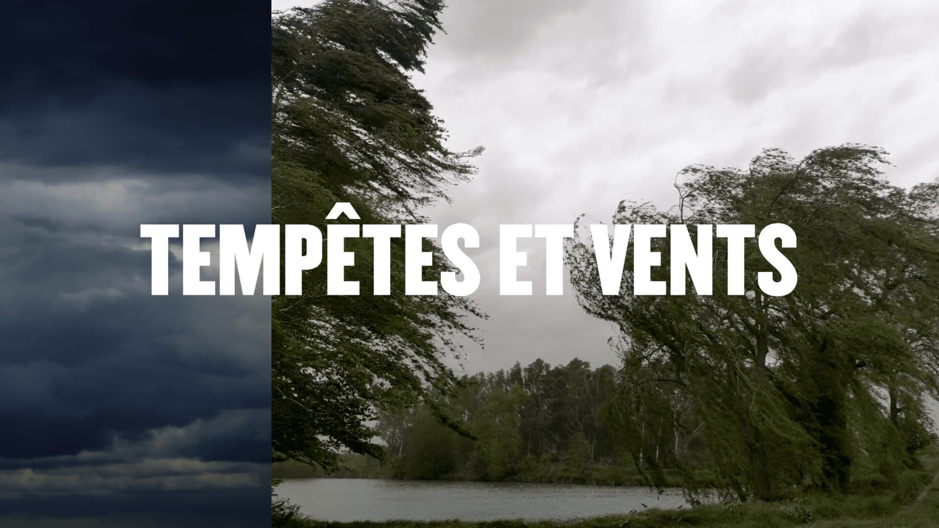 Vignette du programme télé Réflexe !