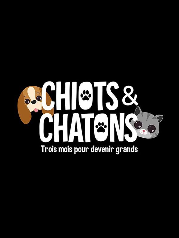 Vignette du programme télé Chiots & chatons, 3 mois pour devenir grand