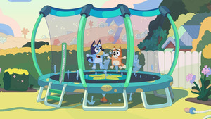 Vignette du programme télé Bluey (Le trampoline) S1 (33/52)